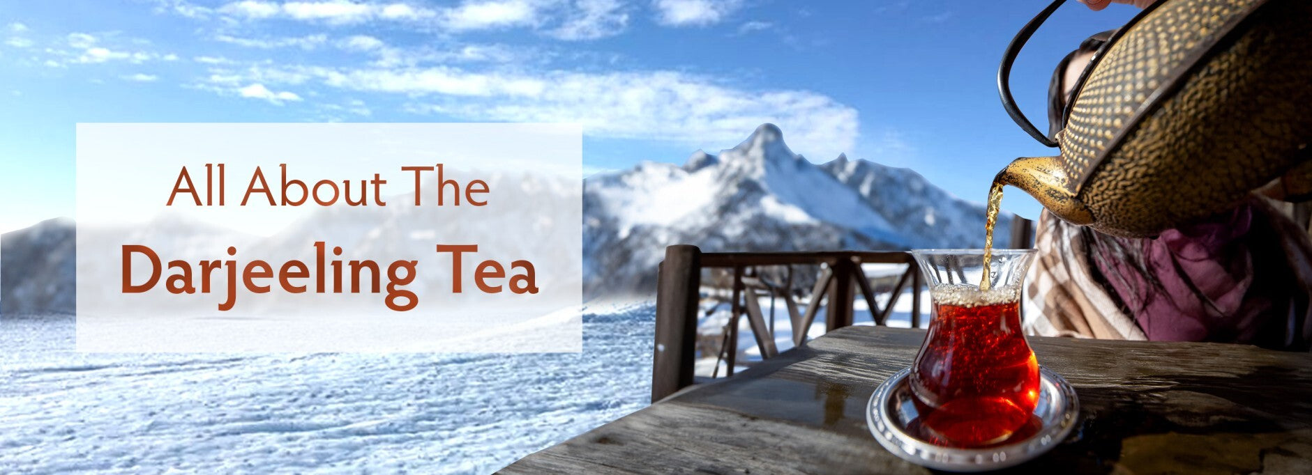 All About The Darjeeling Tea