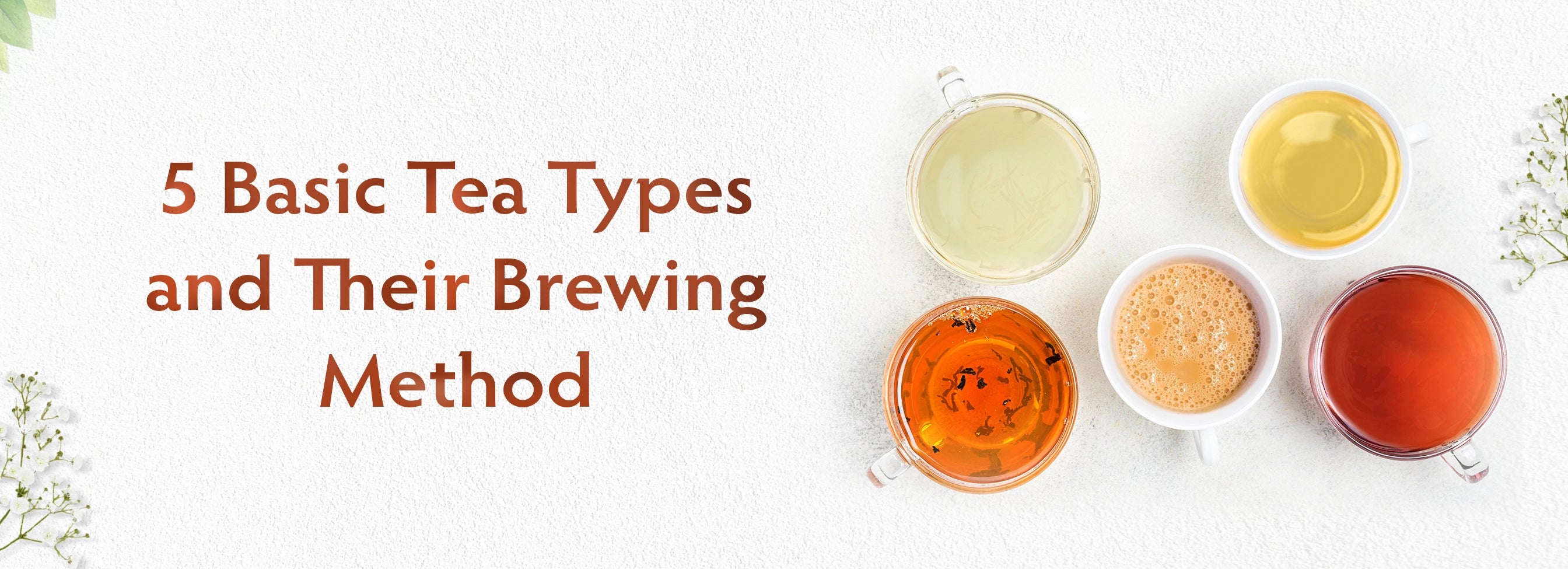 5 Basic Tea Types and Their Brewing Methods