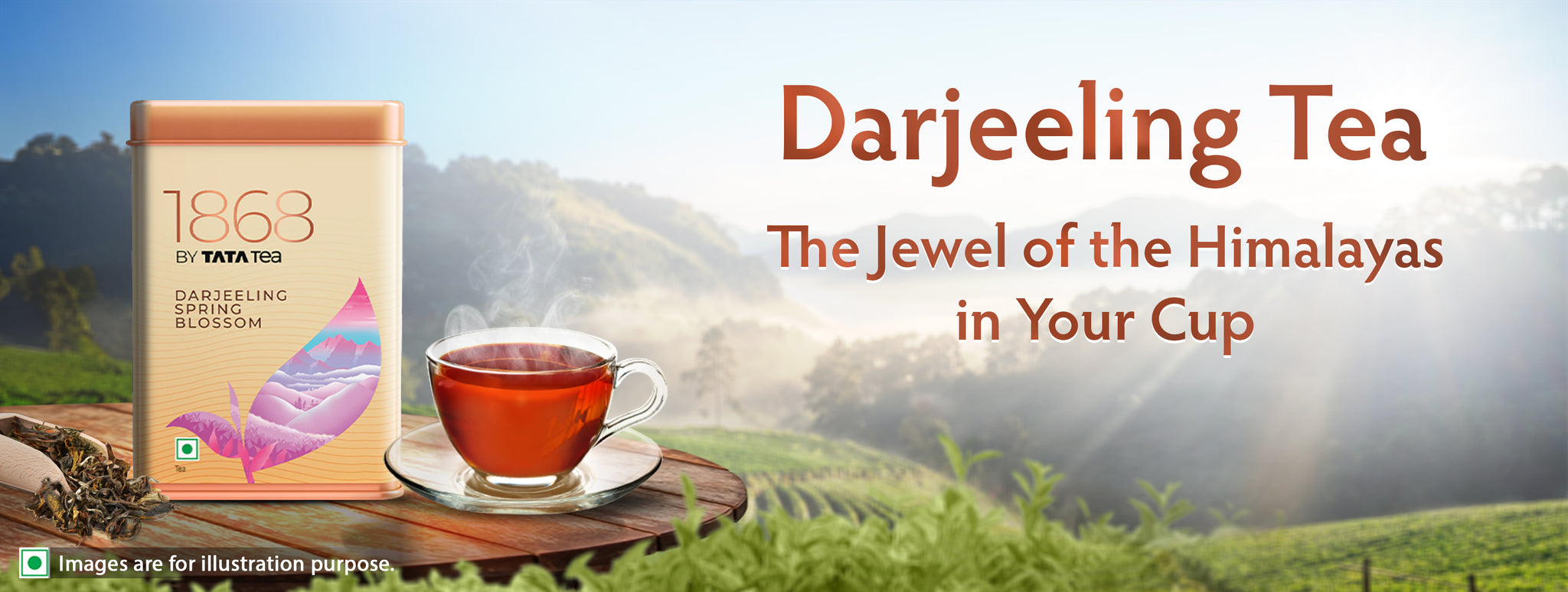 Darjeeling Tea: The Jewel of the Himalayas in Your Cup