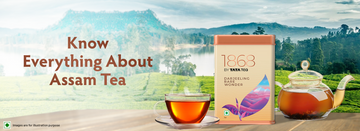 Know Everything About Assam Tea