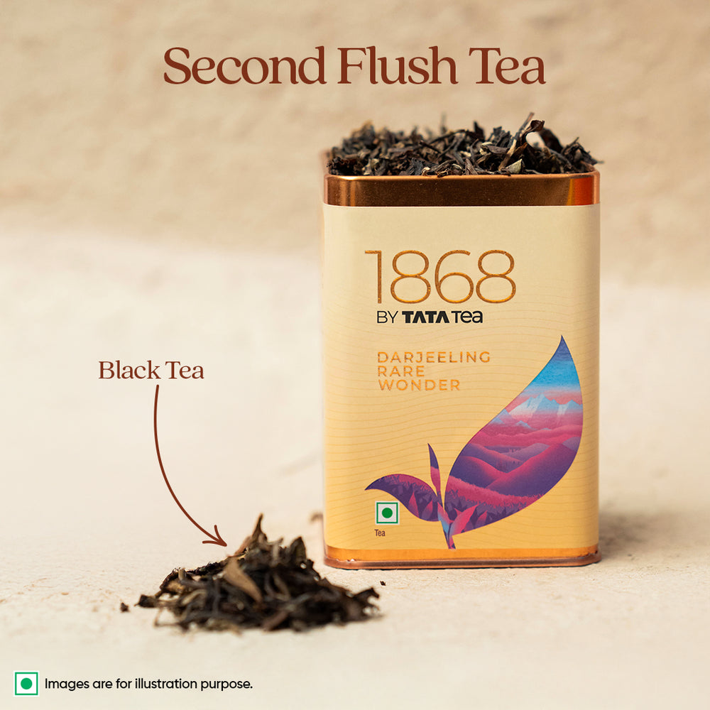 
                  
                    Loose Leaf
                  
                
