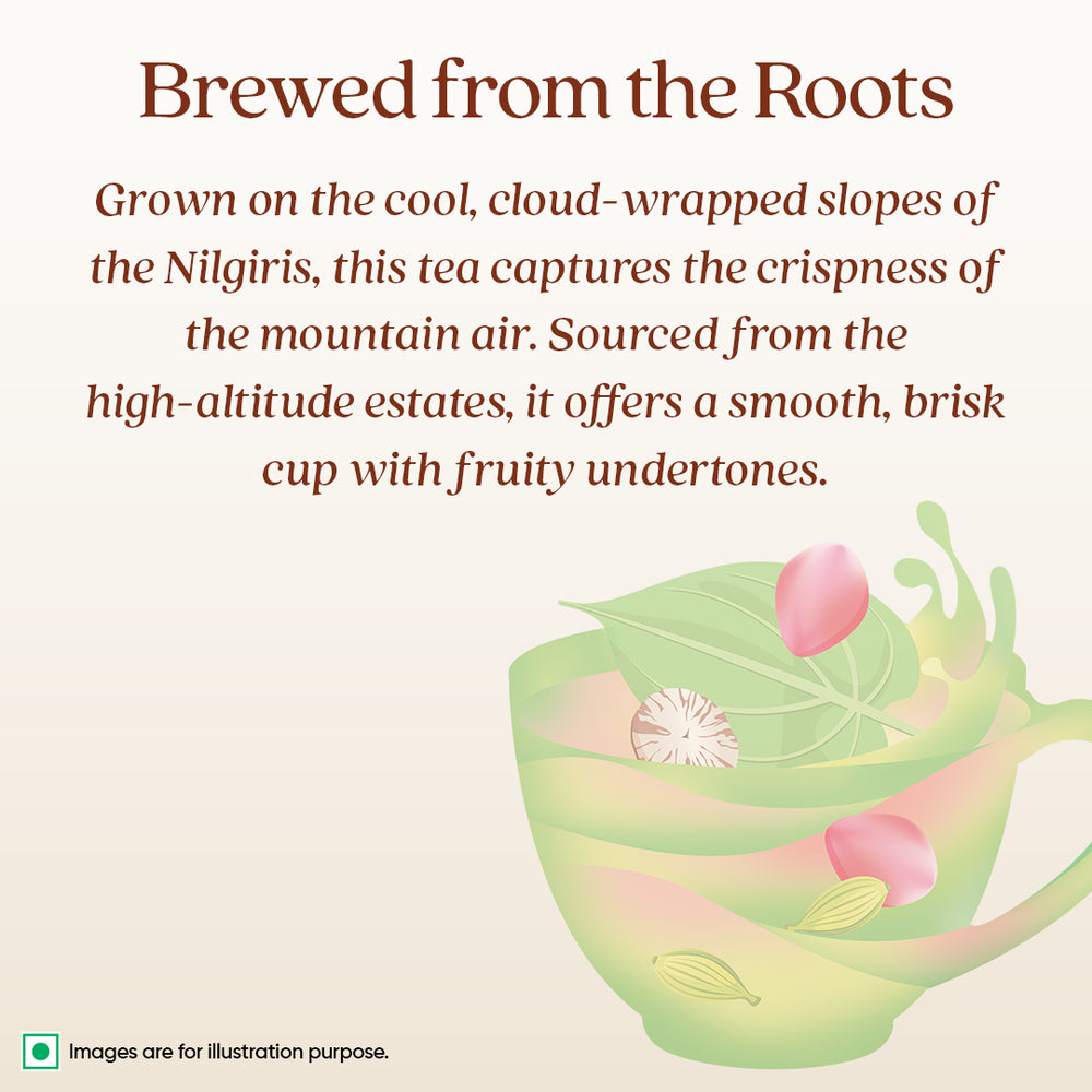 
                  
                    Loose Leaf
                  
                