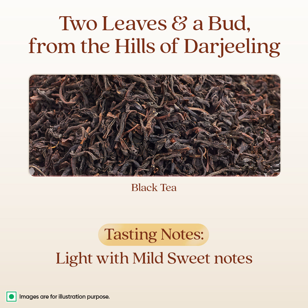 Darjeeling Rare Wonder Tea Bags