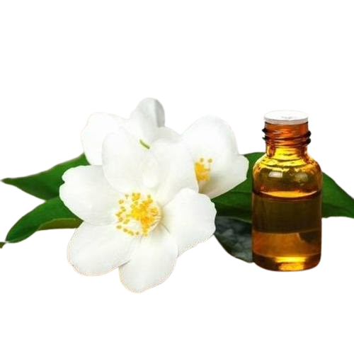  Jasmine Oil | (0.1%)